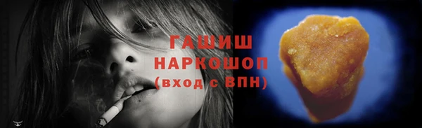 хмурый Алексин