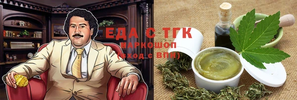 хмурый Алексин
