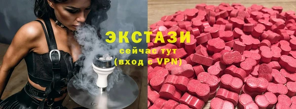 хмурый Алексин