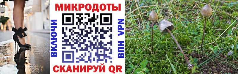 как найти наркотики  Данилов  гидра ТОР  Галлюциногенные грибы мухоморы 